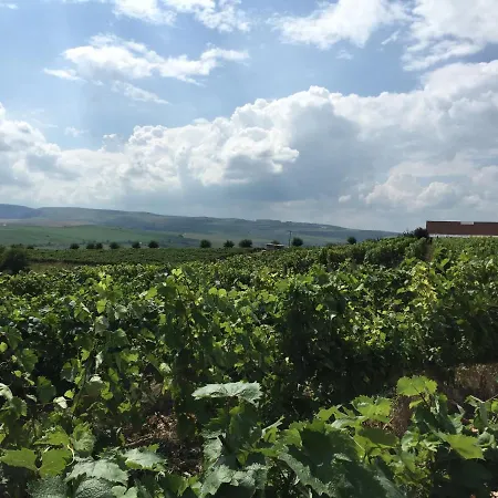 Bed & Breakfast Wineyards Salin Turda