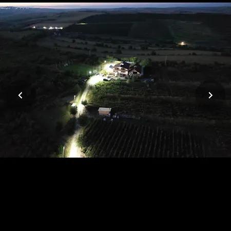 Wineyards Salin