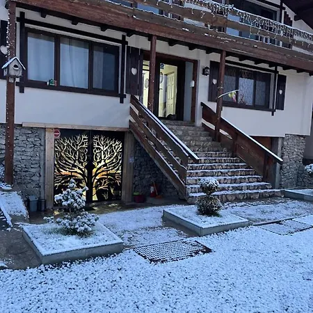 Bed & Breakfast Wineyards Salin 4*