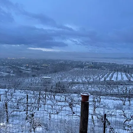 Bed & Breakfast Wineyards Salin 4*